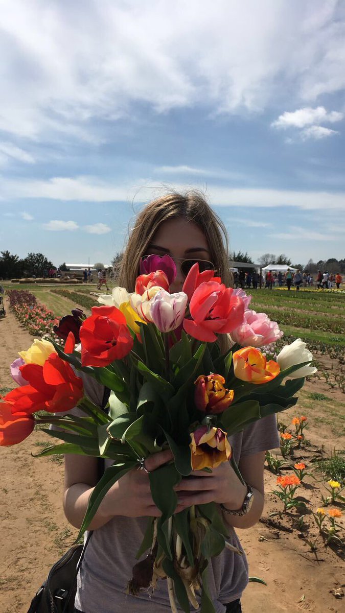 seth_ball78's tweet photo. Drove 5 hours away to surprise my girl with some tulips 😻 https://t.co/2phvHw8Zjt