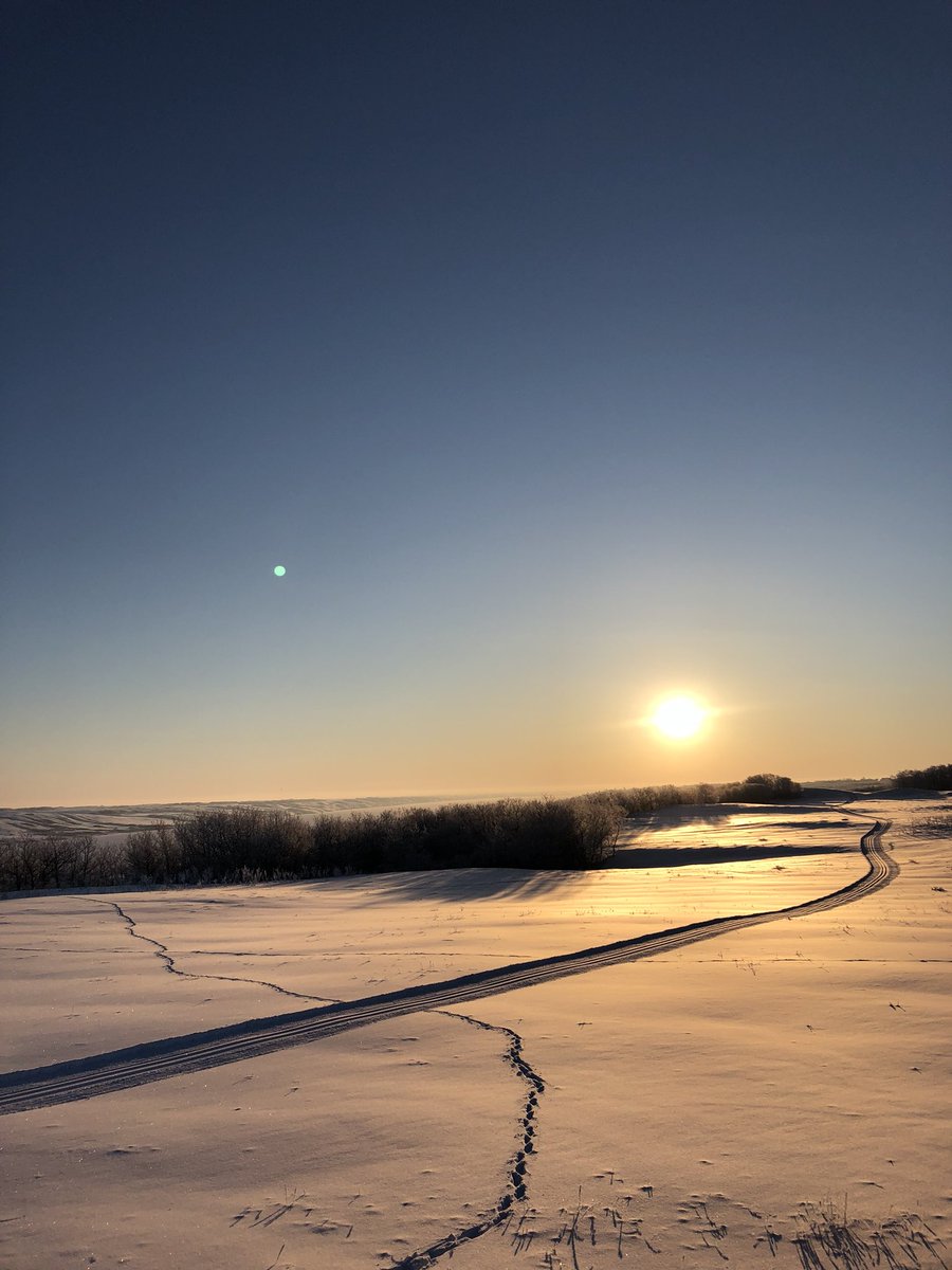 Headacres_Farms's tweet photo. What does a grain #farmer do all winter? Buy seeds. Sell seeds. Ski as often as possible. I find cross country and farming very similar. Remember when things go down, they eventually go back up. And Mother Nature holds all the cards. #healingwaters #manitoulake #homesection https://t.co/yv8Ml8FLw6