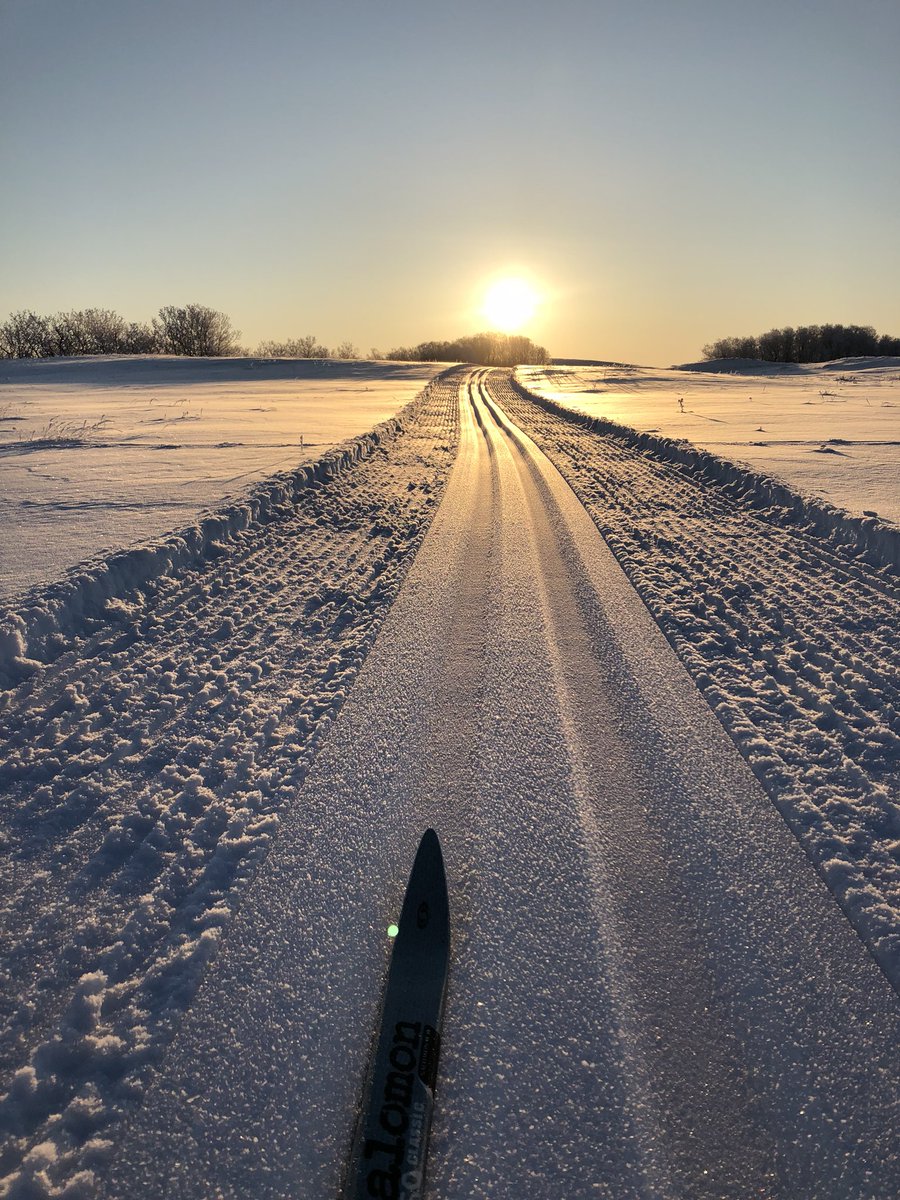 Headacres_Farms's tweet photo. What does a grain #farmer do all winter? Buy seeds. Sell seeds. Ski as often as possible. I find cross country and farming very similar. Remember when things go down, they eventually go back up. And Mother Nature holds all the cards. #healingwaters #manitoulake #homesection https://t.co/yv8Ml8FLw6