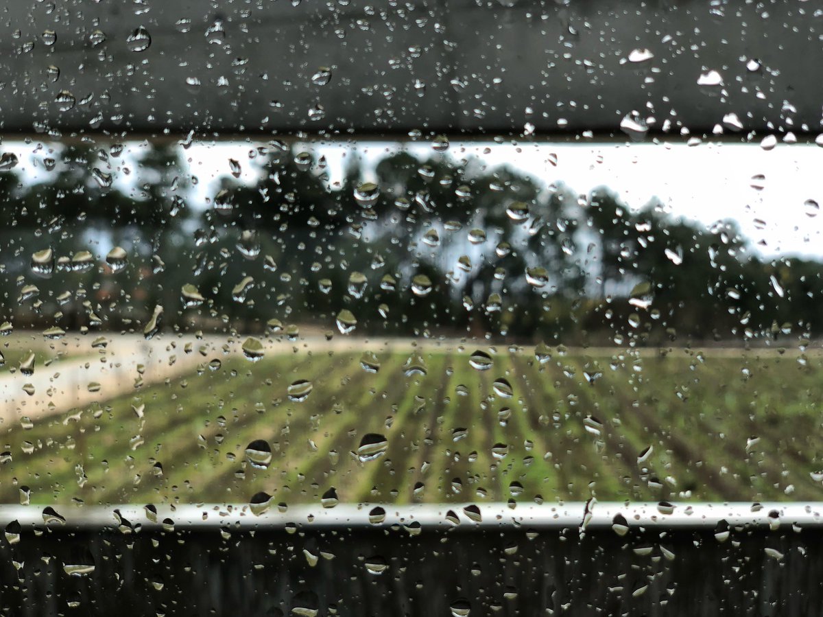 Rainy Dão. #caminhoscruzados
