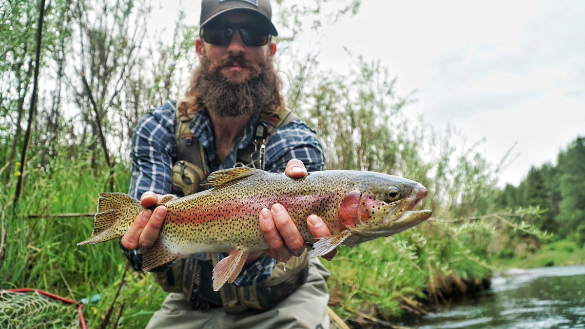 TroutsCO's tweet photo. @Rockies @VonMiller @Chuck_Nazty We got some spots, boys. #slideinourDMs #orcallus #letsgofishing https://t.co/DiNcqiXgwN