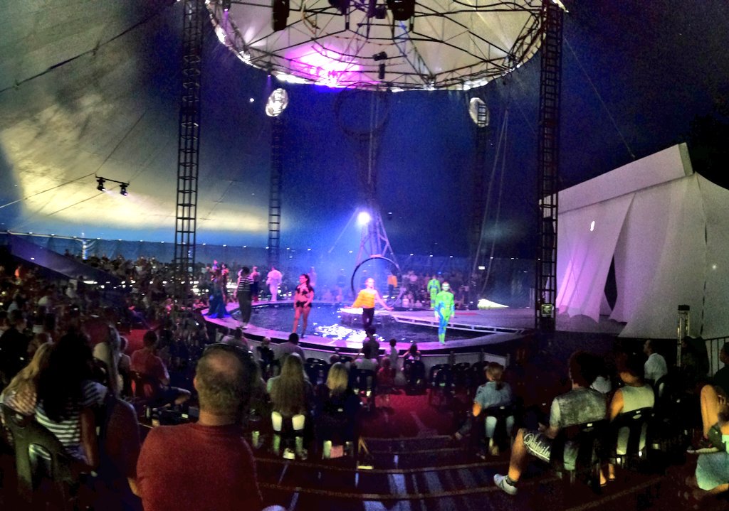 Clint_ZA's tweet image. Great entertainment today at the #AussieCircus! Better than those Aussie clowns on the cricket field 😉