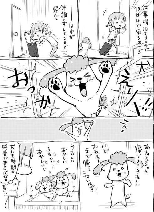 犬と猫どっちも飼ってると、それぞれいろいろ考えてて毎日たのしい 