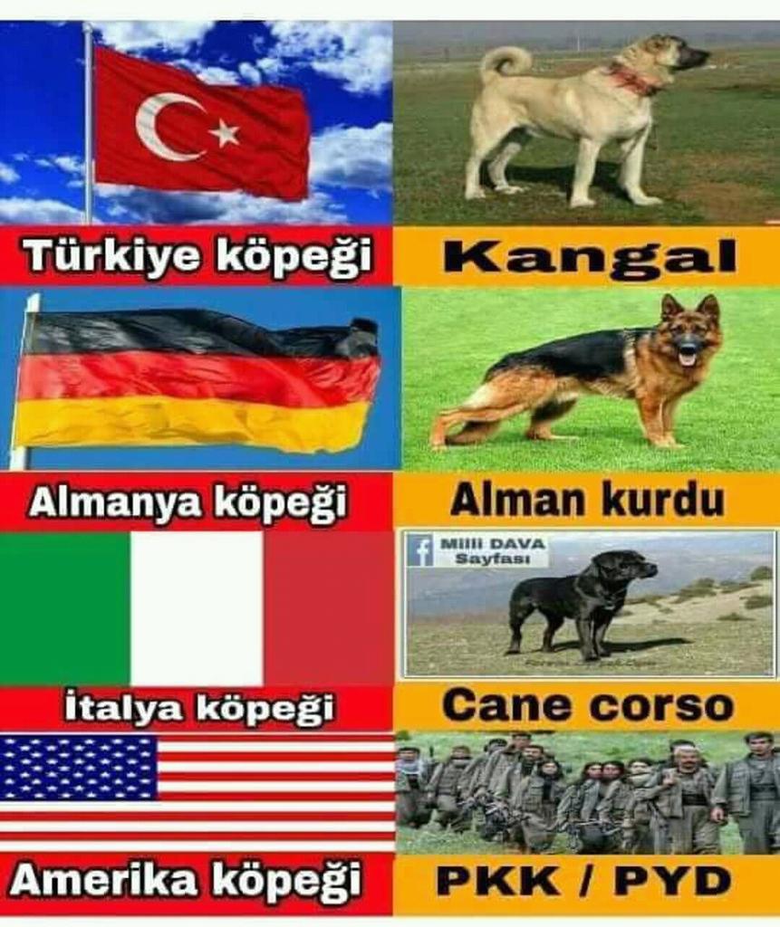 milliyolpartisi's tweet photo. Resim Ortada ..!
#cumhurittifaki #bbp #akp #mhp #ulkuculer #alperenler #afrin #ZeytinDalıHarekatı #zeytindalı #zeytindalioperasyonu #suriye #Sondakika #sondakika #haber #Turkey #Turkish #turkiye https://t.co/X3tk5HKEQl