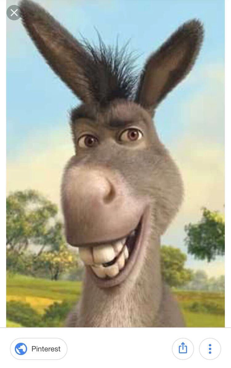 BStoetzer's tweet photo. Boyfriend of @adrikatomica11 or Donkey from Shrek? https://t.co/Kf0MRQxxhw