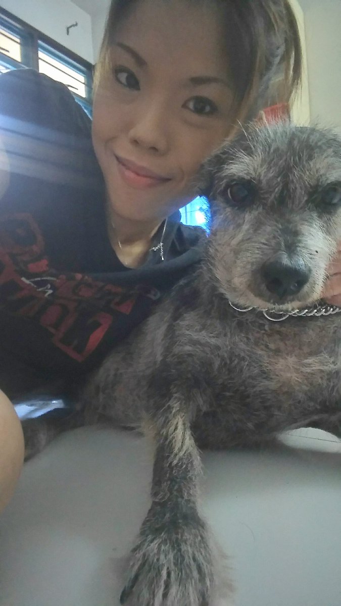 Ryl029's tweet photo. 🐾❤ https://t.co/BDuXCrzsaj