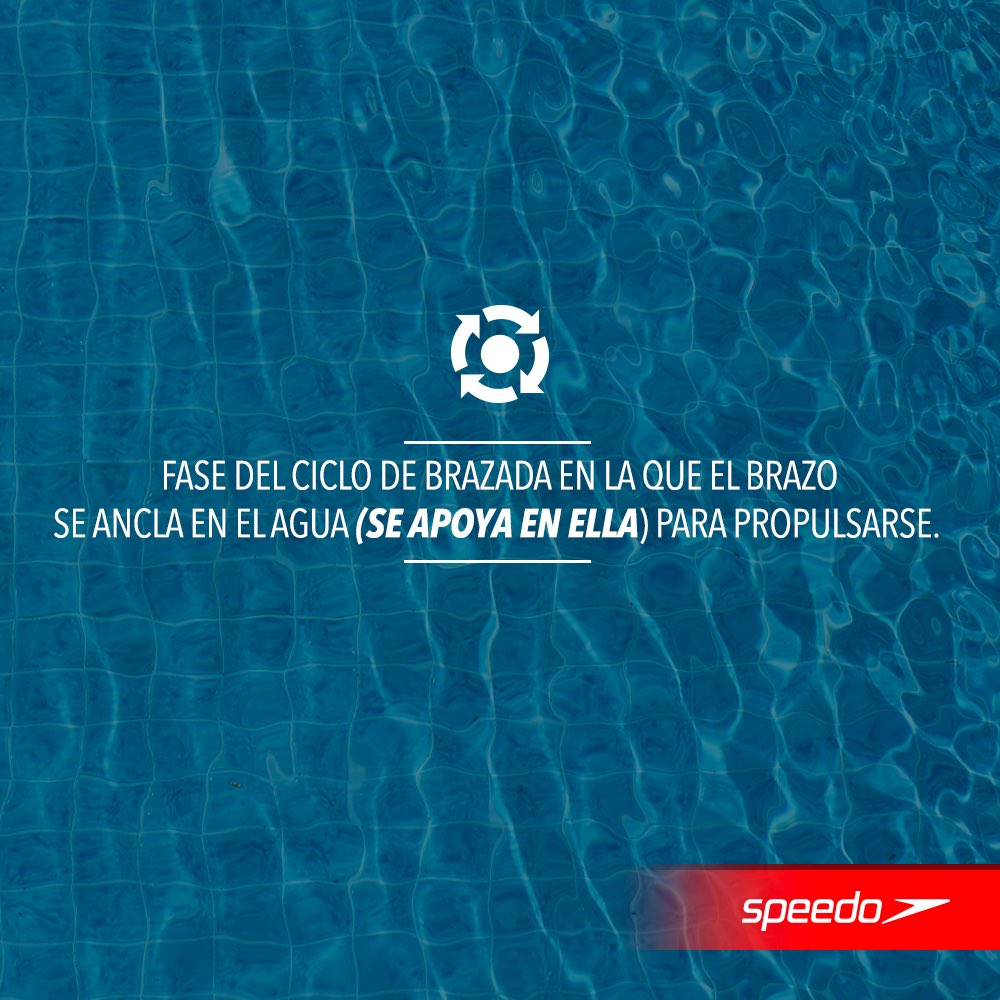 Speedo México tweet media