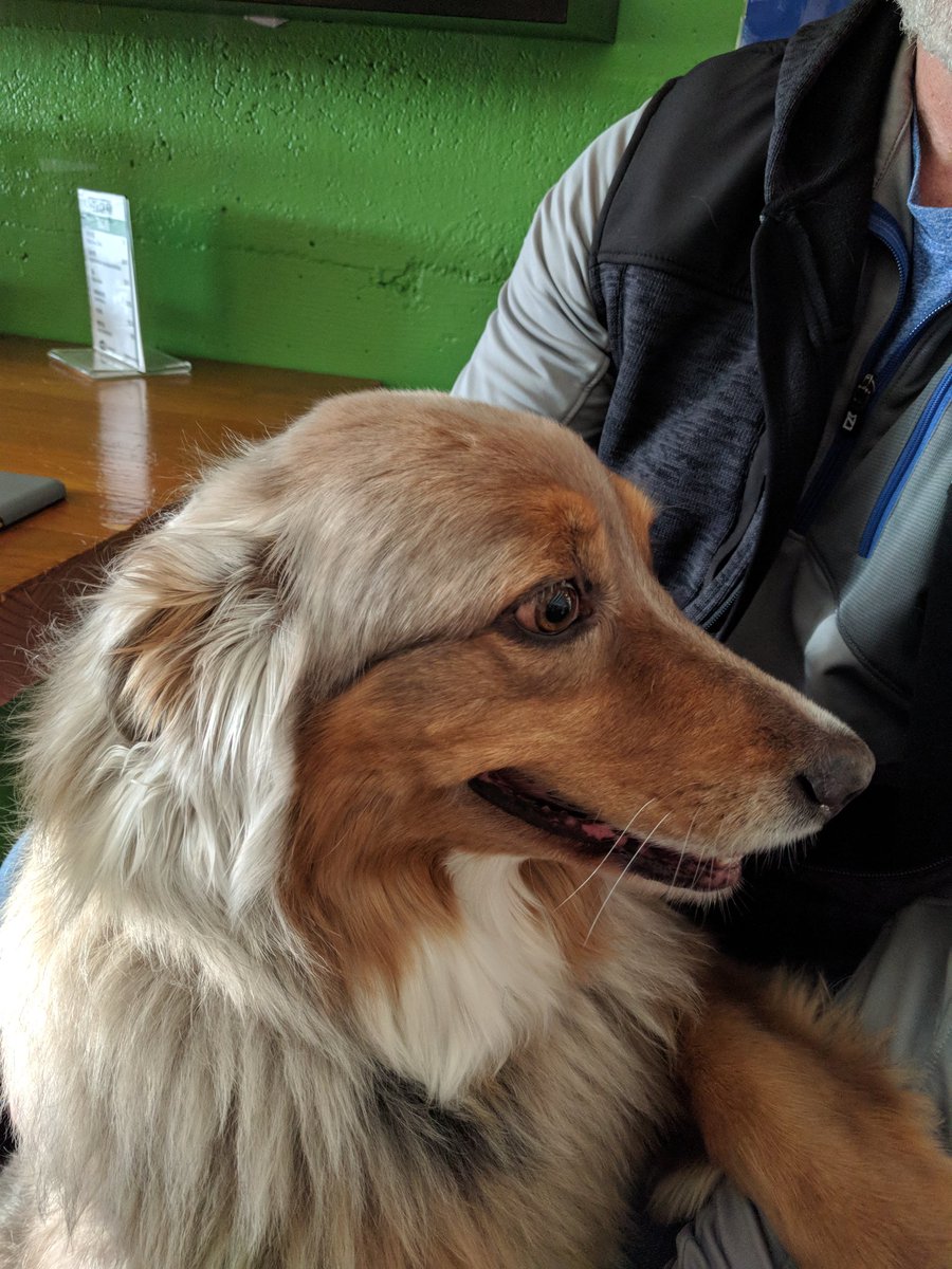 hsmonahan's tweet photo. Kylie's day out #flatstickpub https://t.co/CqKNasA2ND