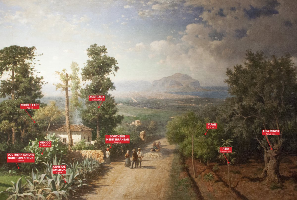 TreesintheCity's tweet photo. #PALERMO #ThePlanetaryGarden
#TreesintheCity https://t.co/aChdJxlQVs