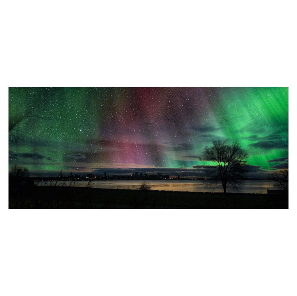 ankita_mena's tweet photo. So many colours in one night💫
#darlingescape #bestplaceintoronto #checkingoffthelist #intheskyfullofstarsithinkisawyou ❤️ https://t.co/r2gotLWw9M