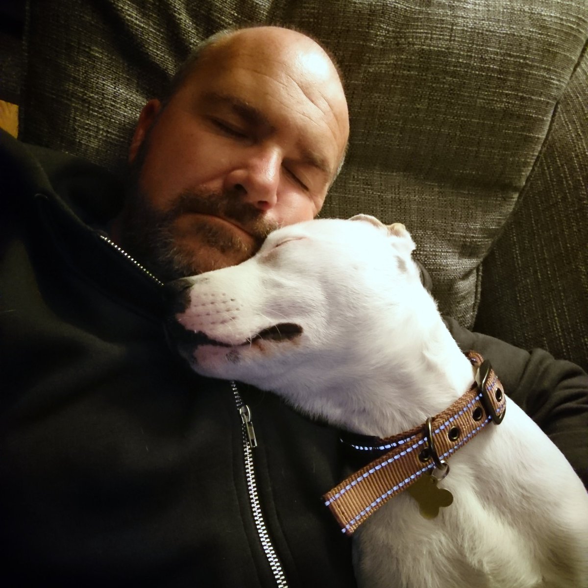 images_ag's tweet photo. @channel4 we lost our two labradors in a house fire 18mths ago and it was devastating. So happy now to have rescued 5mth old 'Patch' #Crufts https://t.co/ObEedJBpfS