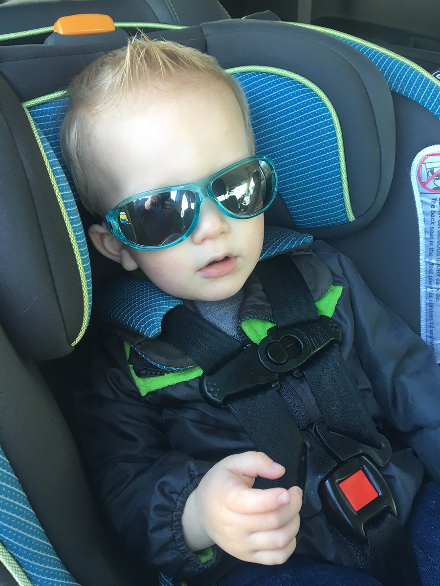 misterkarkula's tweet photo. Costco bound with this dude. He's insisting on getting chicken nuggets. https://t.co/XZB7LptdXF