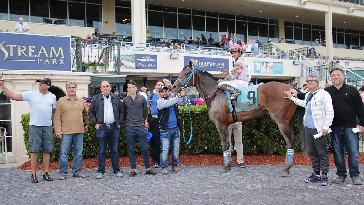 GulfstreamPark's tweet photo. Up the Road gets up late to win race 8, ridden by Luis Saez and trained by Antonio Sano.
#GulfstreamPark #ChampionshipMeet https://t.co/vvF4OJbKZM