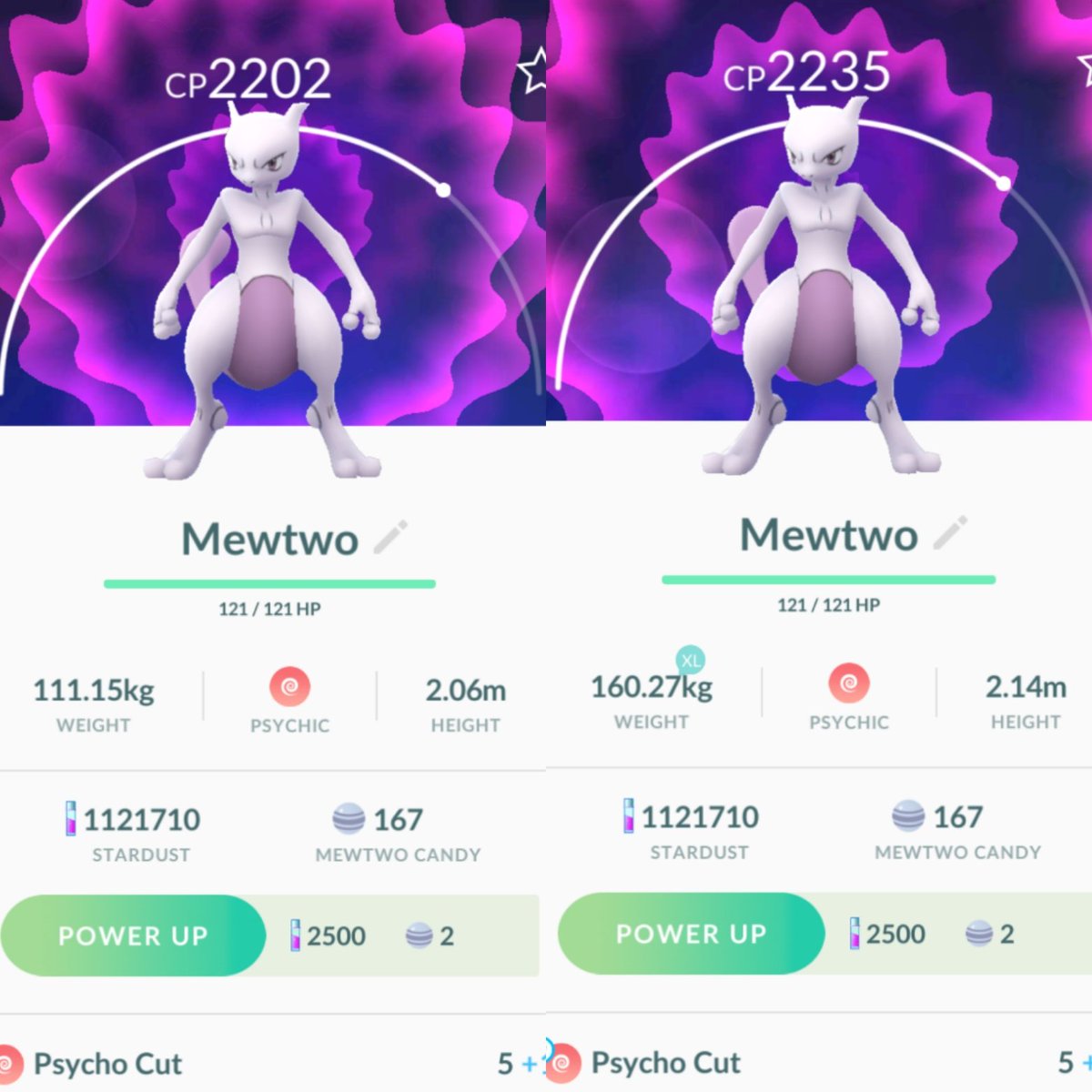 RuiMiguelPOGO's tweet image. My two Mewtwo of today! Soo bad 😑😑 #EXRaidPass #PokemonGo