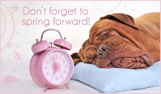 Remember to move your clocks forward one hour tonight! #DaylightSavings