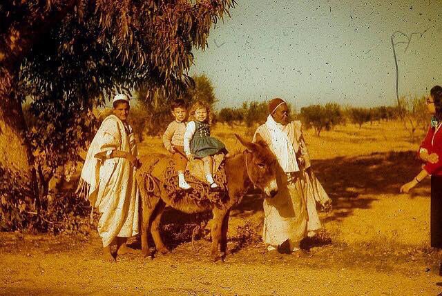 Onlyllibya's tweet photo. صور نشرتها فتاة أمريكية لوالدتها التي قضت بضع سنوات في ليبيا فترة الخمسينات .. #ليبيا 📸🇱🇾 https://t.co/h65he0BLBv