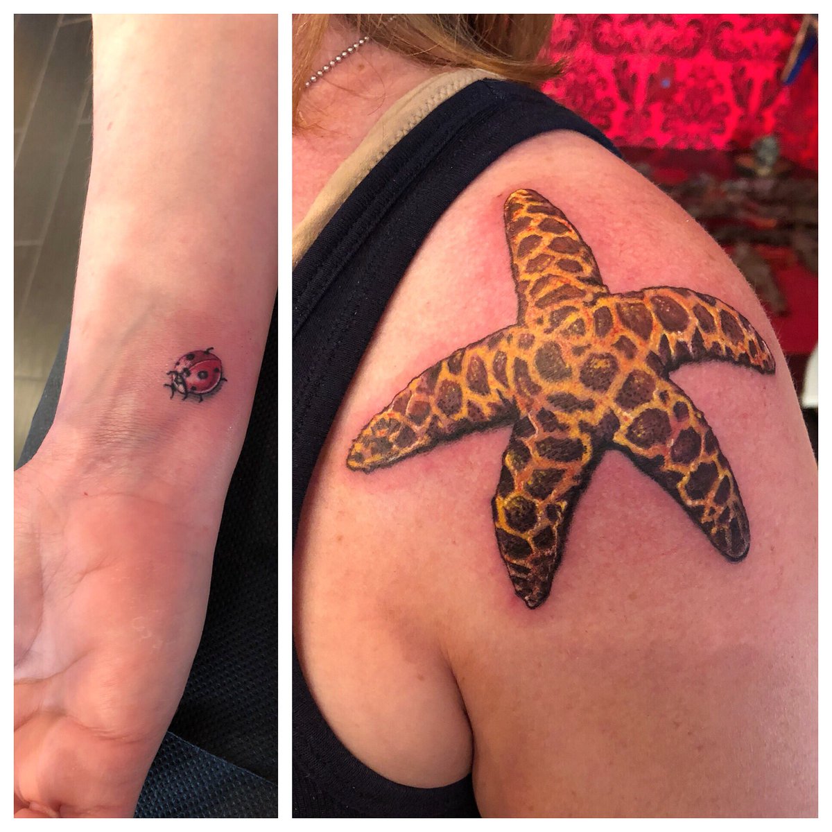 HighVoltageTat's tweet photo. Couple of additions for Jen by our dude @artofkevinlewis! #highvoltagetattoo #tattootime #starfish #starfishtattoo #ladybug #ladybugtattoo https://t.co/PeFJjE3s6a