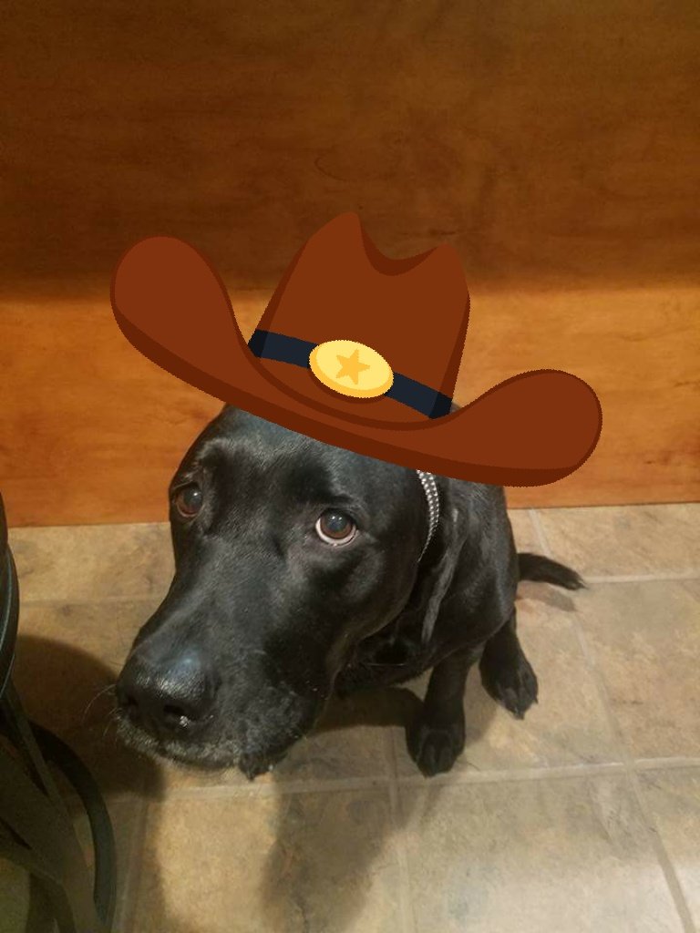 thereal_Kenbot's tweet photo. ᶜᵃⁿ ᴵ ᵍᵉᵗ ᵘʰʰʰʰʰ Yeehaw https://t.co/DrmP9pq4aT