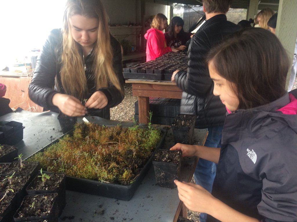 USCSecondDecade's tweet image. Saving the #PVBlue 🦋 habitat with @PVPLC @USCAlumni day of #SCervice #GivingBack