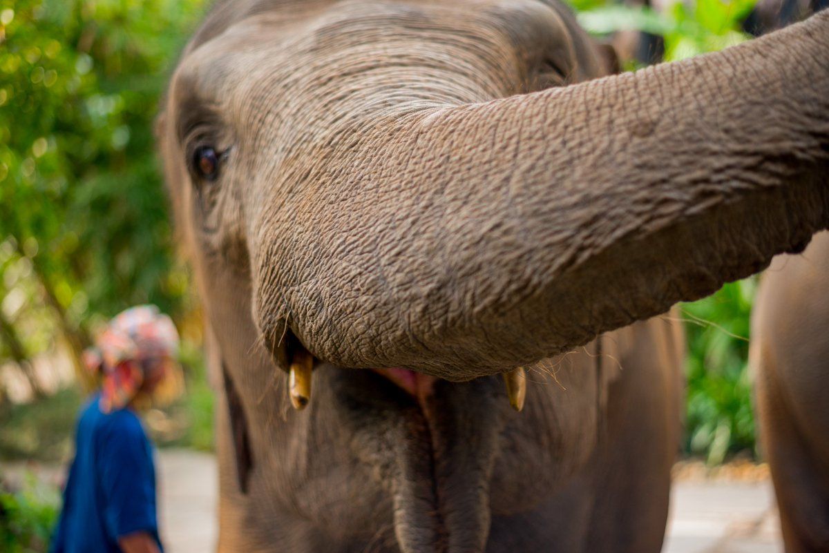 No Destinations tweet media