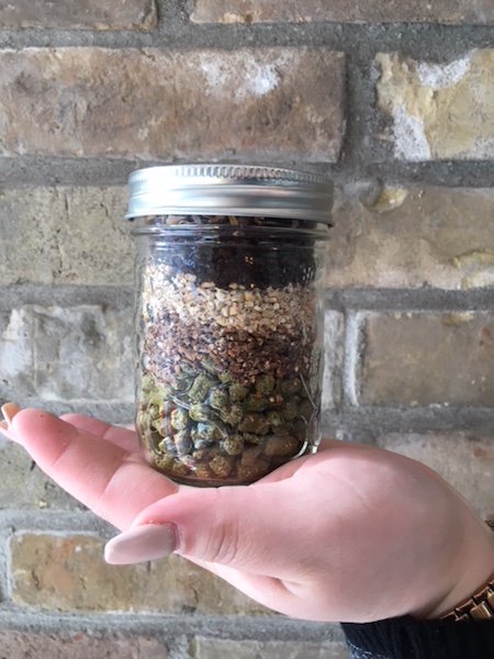 Bitteschonbrau's tweet photo. When all that you need is in the palm of your hand. #bitteschonbrauhaus #beerintheburg #newhamburgontario #lifeofacraftbrewer #hops #barley #malt #craftbeerforever https://t.co/vVSDmROVvQ