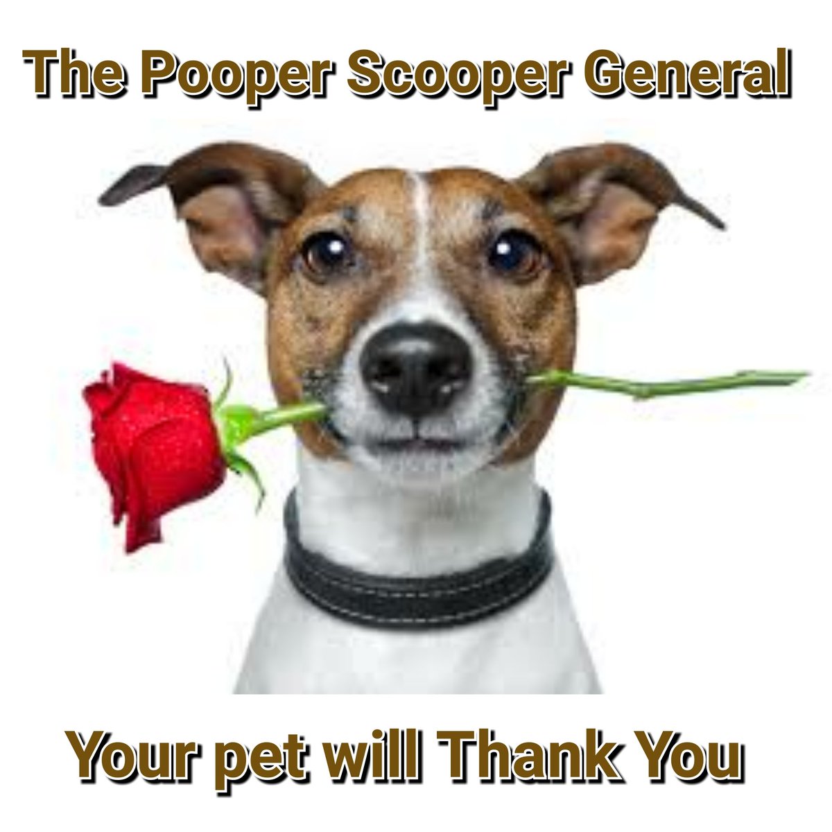 GeneralPooper's tweet image. 