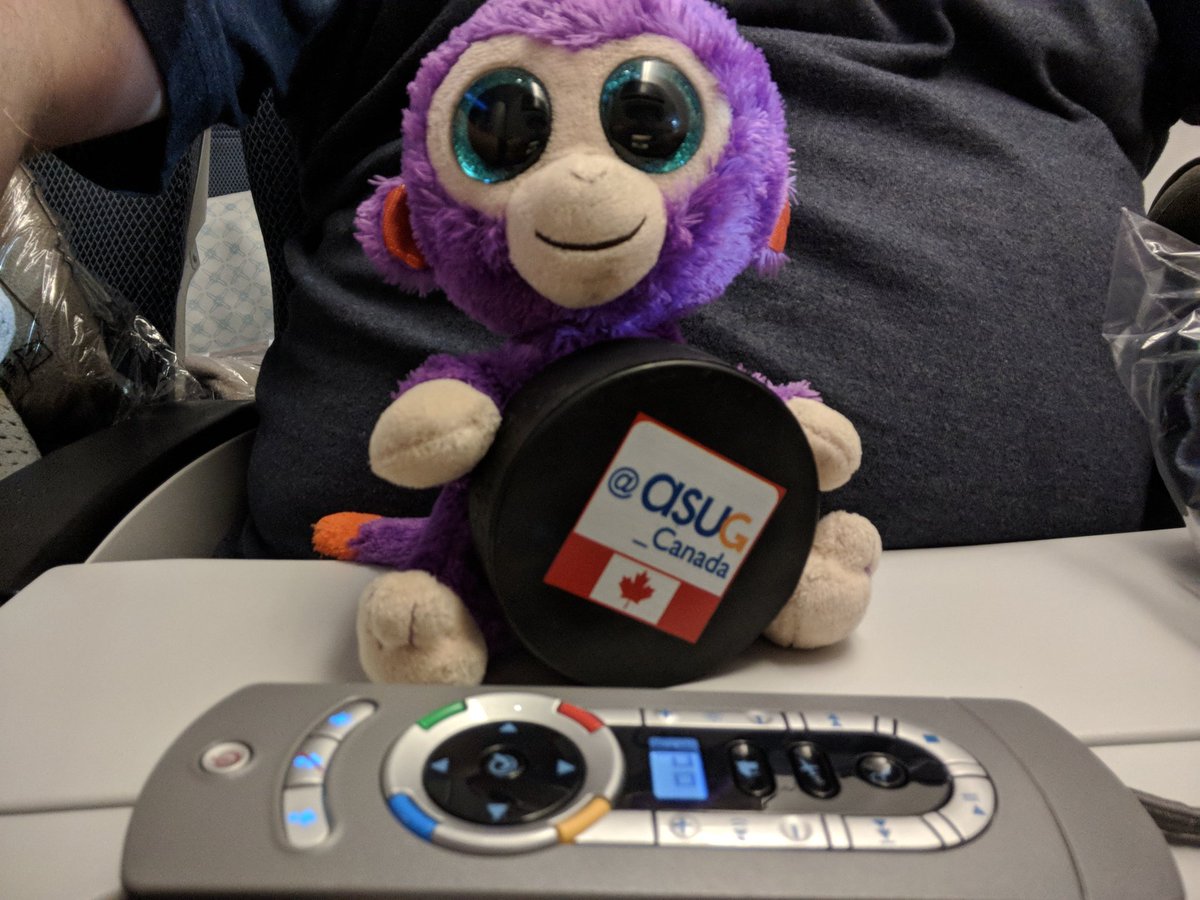 BoobBoo's tweet photo. #monkeyfriend choosing the videos for tonight's flight to #masteringSAP, he just won't let go of the #globalpuck either. @ASUG_Canada @ASUG_Ontario @SAPMentors https://t.co/ogkS3jUjFp
