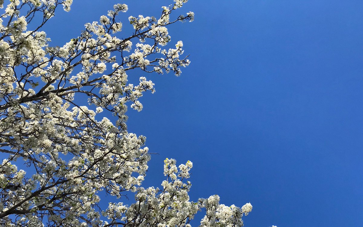 KyleWeather's tweet image. #SpringFoward