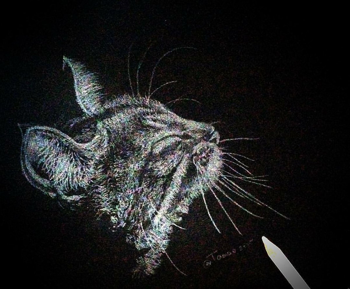たまお 好奇心で黒画用紙に描いた絵を集めてみました 私の作品もっと沢山の人に広がれ祭り 黒画用紙 色鉛筆 過去絵 たまお 好奇心で黒画用紙に描いた絵を集めてみました 私の作品もっと沢山の人に広がれ祭り 黒画用紙 色鉛筆 過去絵