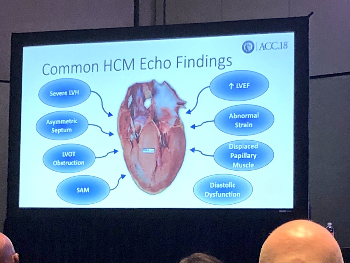 AkhilNarangMD's tweet photo. @jeffreygeske presents #echocardiography in HCM at #ACC18. Don’t let the “Big 4” mimickers fool you!
1. Athletes heart
2. Cardiac amyloid 
3. Hypertensive heart disease 
4. Elderly patient with prominent septum https://t.co/KURT4EY7v4