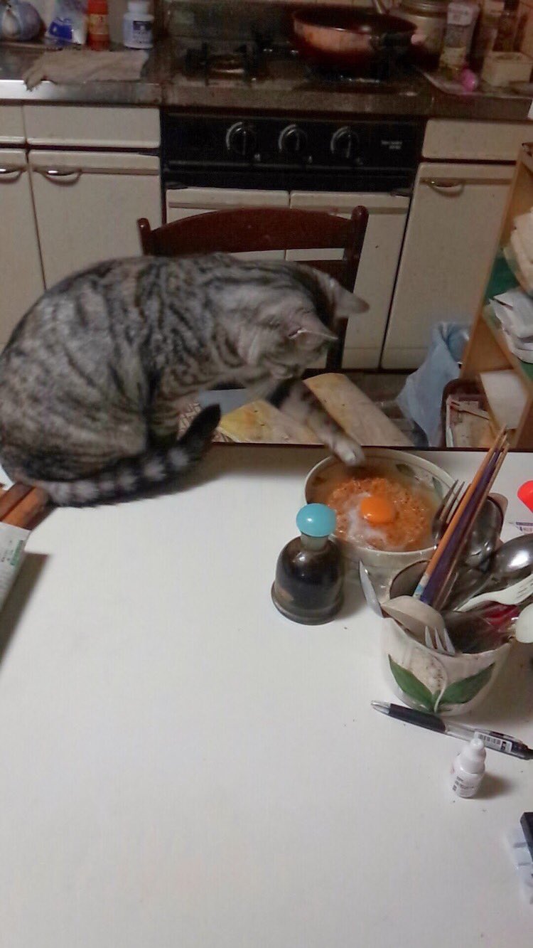 雅 End殺処分japan Y2vbjeveemeyas3 拡散rtお願い致します 迷い猫 岡山県 岡山市北区 26日から玄関から脱走してしまい未だに帰ってきません とても心配です見かけたらどうか教えてください 御南学区に住んでます 灰色と黒のヒョウ柄 虎柄のような模様