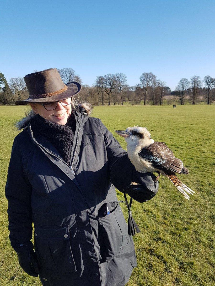 # kookaburra # hawkes of Steele  fantastic experience