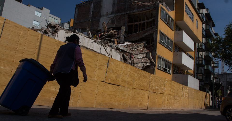 Animal Político tweet media