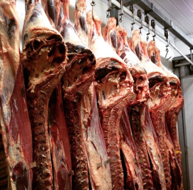 jesoelschlagel's tweet photo. It’s not as simple as meat is bad  &amp; plants are good. The greatest change we can make is growing our own food, buying from farms we trust &amp; eating simply from local sources as often as possible. Oh and don’t waste!#meatymarch #agriculture #Foodies #Sustainability #AgTwitter #food https://t.co/yHUQzOxPbU