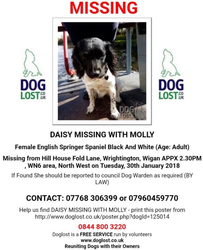 rosieDoc2's tweet photo. #missing NOT ONE....
TWO #english #springerspaniels #findDaisyandMolly both black and white 
#missingdogs from Hill House, Fold Lane #Wrightington #Wigan 
At approx 2.30pm tues 30/01/18 🆘🆘🆘🆘
DID SOMEONE TAKE THEM? Pls pls bring them 🏡 they are the sweetest girls &amp; missed 💔 https://t.co/Umq74WKcLL