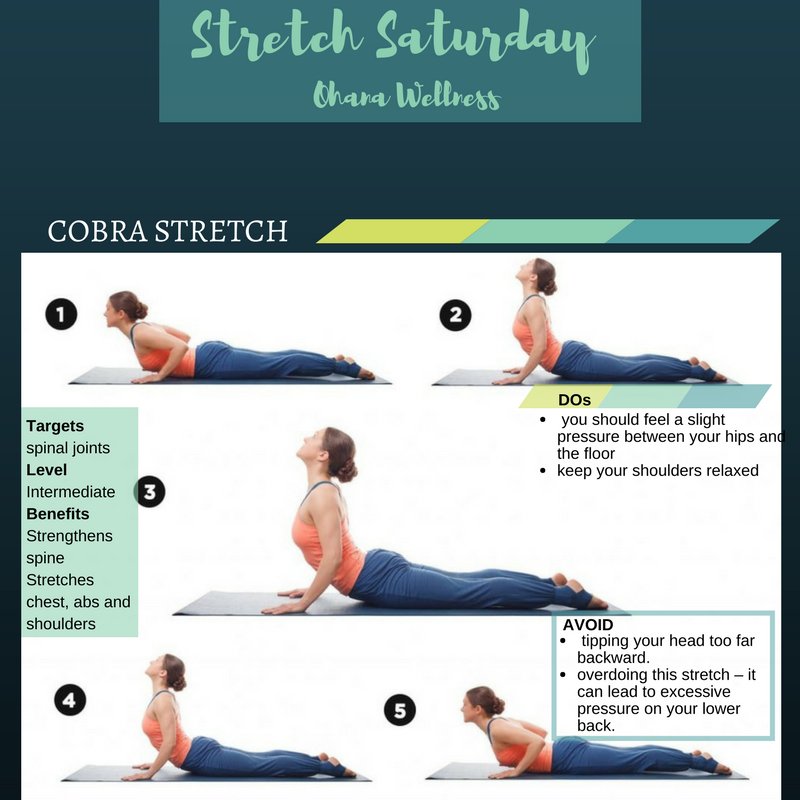 #stretchsaturday It's Saturday and we're keep ya loose!   Here's a simple core stretch called the cobra #stayloose #massage #massagetherapy #massagetherapist #selfcare #ohana #ohanawellnessbethesda #ohanawellness #bestofbethesda #stretch #stretching