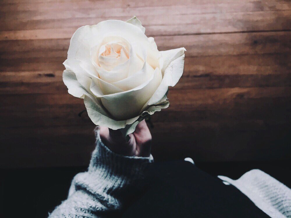 jenifernatke's tweet photo. Can I be real with you? https://t.co/sxZN731O98