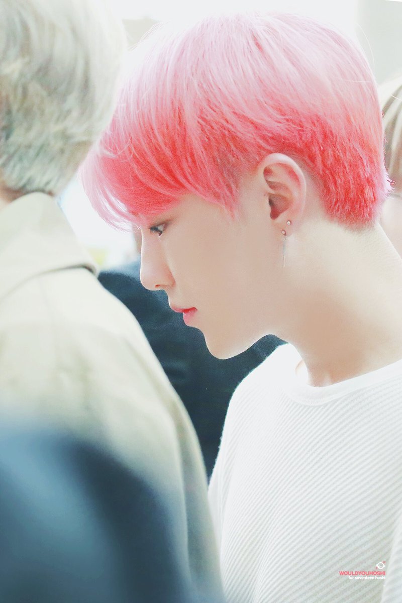 wouldyouhoshi's tweet photo. 네게 찬 바람이 불어도
너에게 봄이 돼줄게🌸

180219 171029 #호시 #권순영 #HOSHI #세븐틴 #SEVENTEEN @pledis_17 https://t.co/RQSrigjwNY