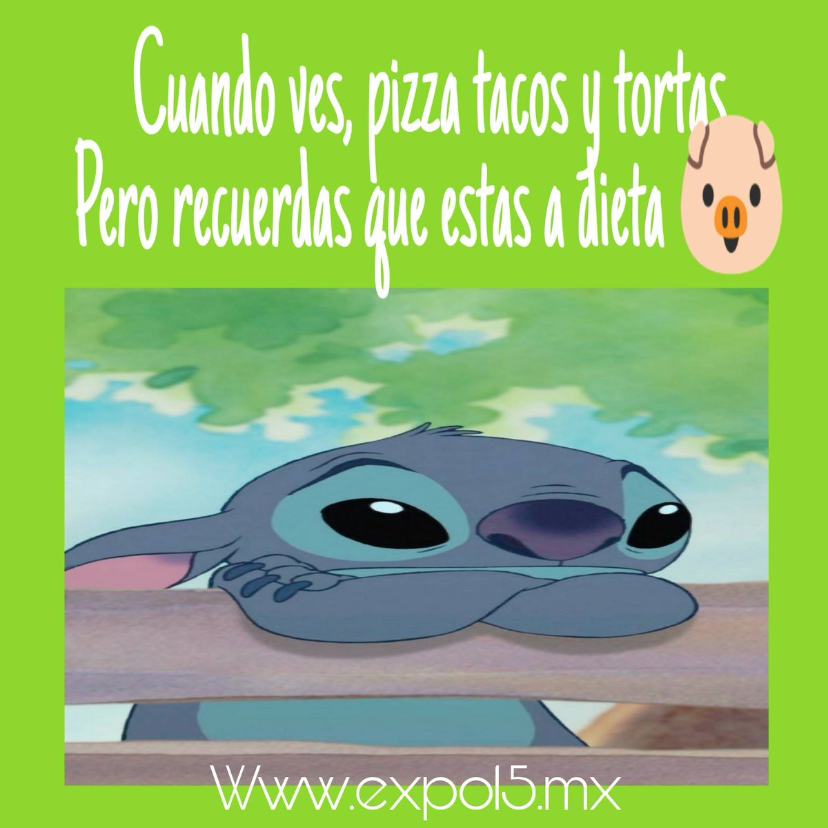 Expo15Mx's tweet photo. 😪 triste realidad
#Expo15 https://t.co/OhekTkuOc5