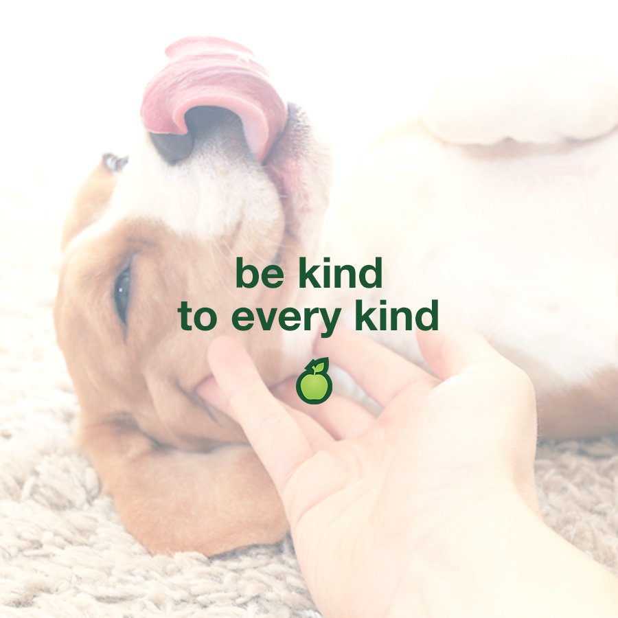 Choosing cruelty-free beauty means choosing to be kind to all kinds. There are alternatives to animal testing that have made many great brands to say no to animal testing. Don't be afraid to make the switch! 🍏

#HealthyOptionsPH #crueltyfree #allnatural #quotes #quote #beauty