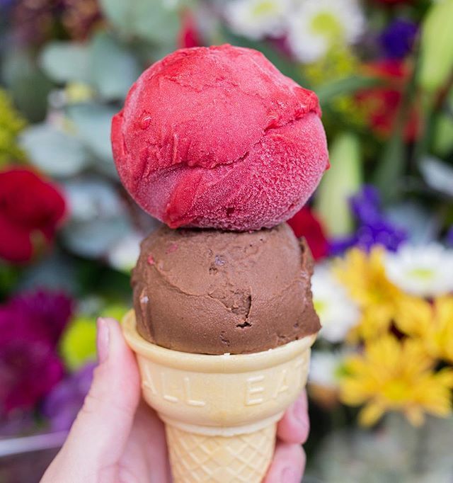 Getting ready to spring forward with this vegan-friendly treat 🍦🍦 (dark chocolate + raspberry sorbet 😋) #coolmess #springforward ift.tt/2p8Vty2