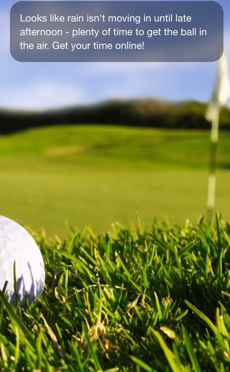 Cattails_Golf (@cattails_golf) on Twitter photo 