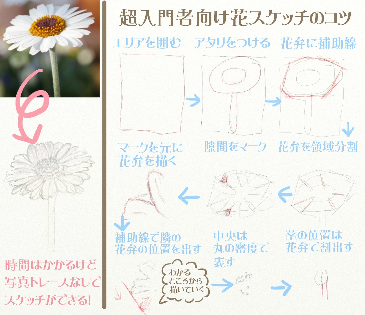 ちいねこ 万年筆スケッチ デジタルで彩色 Pa Twitter 初心者さん向け 花スケッチ 水彩画下書き用 の描き方まとめです スケッチ 本で学んだ基礎をより直感的な方法にアレンジ 足場をガッツリ固めながら描くので 致命的な失敗作はできにくいかと 鉢植えのような