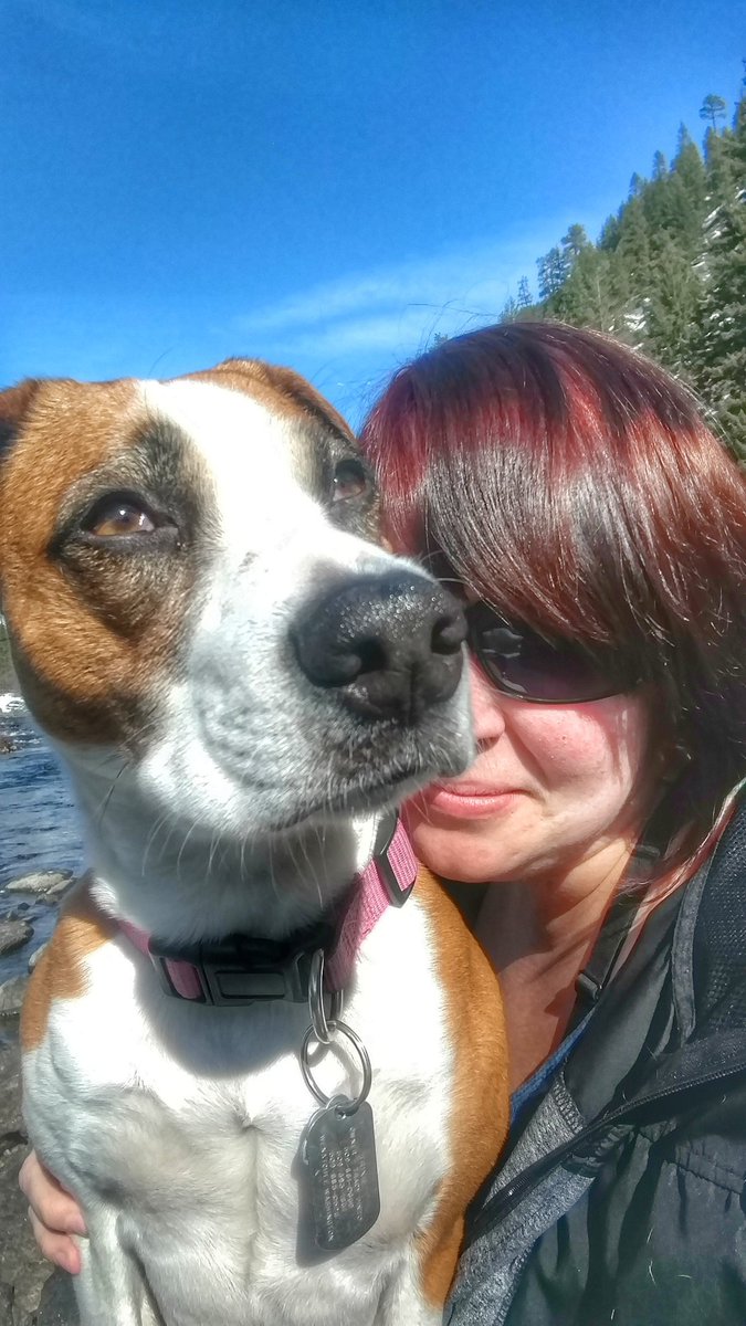 Trixie_Charlie's tweet photo. Exploring near #leavenworthWA today! #winter #boxerbeagle #hiking #hikingwithdogs #dogsoftwitter #dogslife #pnw #dogcelebration #familytime #OptOutside @dogcelebration https://t.co/0qSSnh7ryU