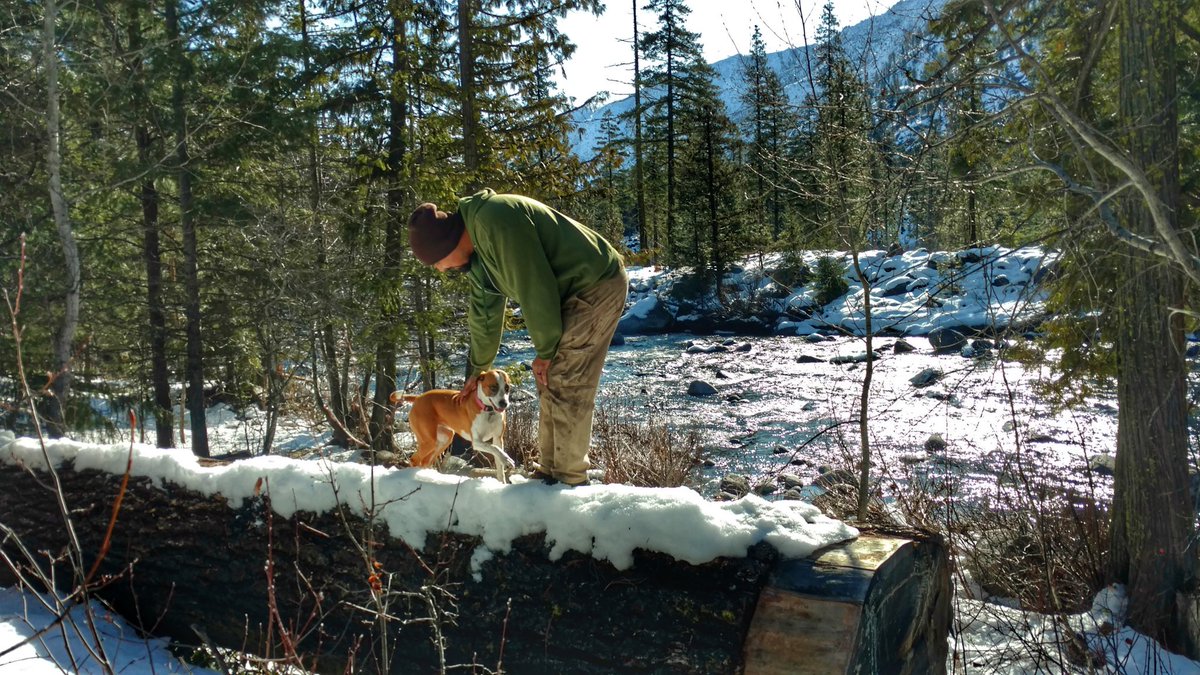 Trixie_Charlie's tweet photo. Exploring near #leavenworthWA today! #winter #boxerbeagle #hiking #hikingwithdogs #dogsoftwitter #dogslife #pnw #dogcelebration #familytime #OptOutside @dogcelebration https://t.co/0qSSnh7ryU