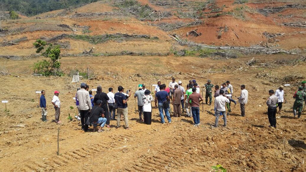 fkp2indonesia's tweet photo. Geliat petugas pndamping TKPPLP brsama instansi terkait mnggerakkan pmbngunan perkebunan pada Kegiatan Pengmbangan Kebun Kakao Rakyat seluas 200Ha di Kab. Pidie Jaya Prov.Aceh @ditjenbun @badansdm @HukmasDitjenbun #perkebunanjaya #tkpplpaceh #fkp2i https://t.co/v6eOi2Li4P