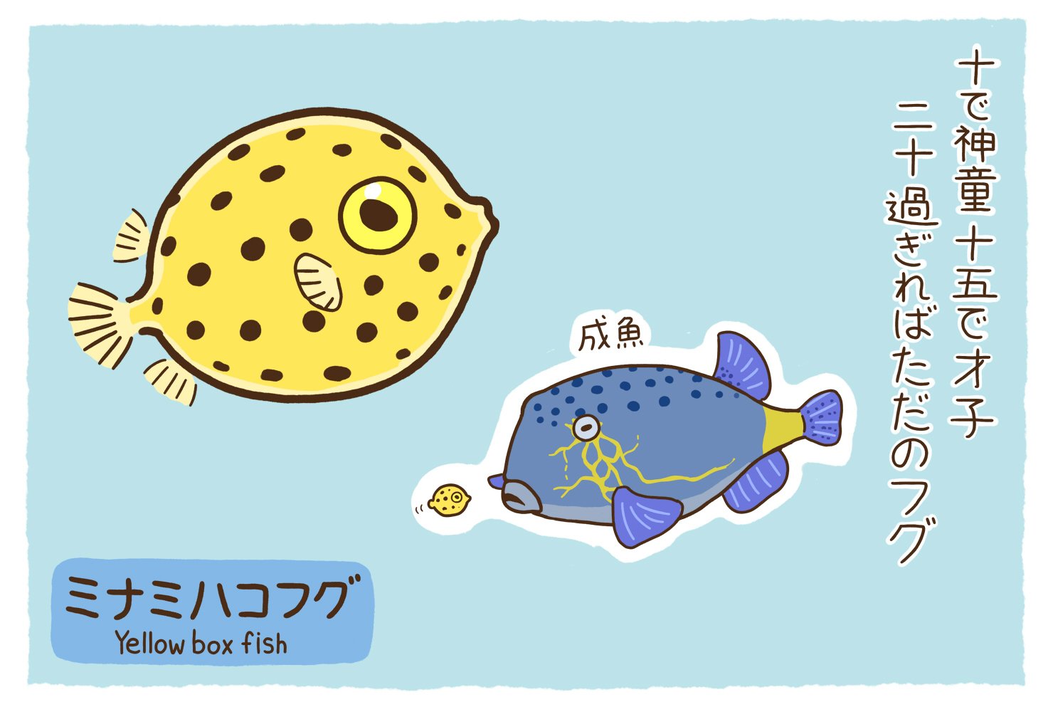 高橋のぞむ 6 21ゆるかわ古生物図鑑発売 ミナミハコフグ 暖かい海に生息する 黄色くて1cm程のちっちゃなフグ オモチャみたいな見た目のくせに いっちょまえに生意気な目つきをしてるのがかわいい ダイバーにも人気で大変チヤホヤされている魚だが 高橋のぞむ 6 21ゆるかわ古生物図鑑発売 ミナミハコフグ 暖かい海に生息する 黄色くて1cm程のちっちゃなフグ オモチャみたいな見た目のくせに いっちょまえに生意気な目つきをしてるのがかわいい ダイバーにも人気で大変チヤホヤされている魚だが