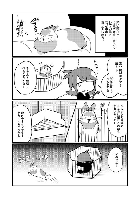 井口病院 うさぎは正義 5巻 Autographed Byouin Iguchi Is Justice Usagi イラスト入りサイン本 繪簽名書 買い取り 5巻 井口病院 うさぎは正義 5巻 Autographed Byouin Iguchi Is Justice Usagi イラスト入りサイン本 繪簽名書 買い取り 5巻