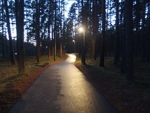 together666's tweet image. PB160433.JPG