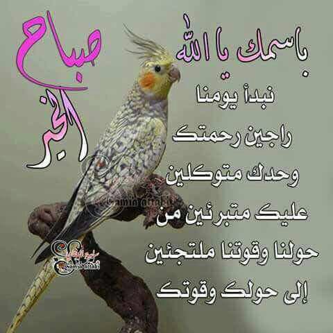 Flah (@flah57278711) on Twitter photo 